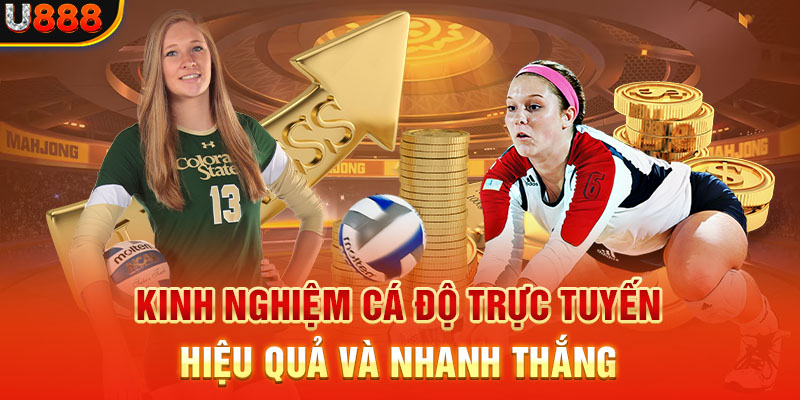 Kinh nghiệm cá độ bóng chuyền trực tuyến hiệu quả và nhanh thắng